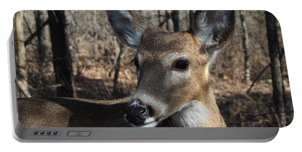 Deer Portable Battery Charger featuring the photograph Mr. Cool #1 by Bill Stephens