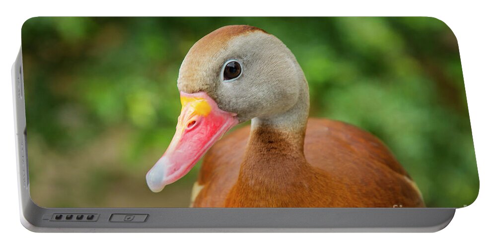 Cameron Park Zoo Portable Battery Charger featuring the photograph Whistling Duck Best Pose by Bob Phillips