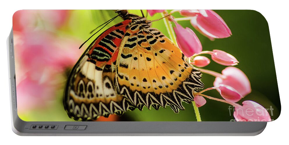 Butterfly Portable Battery Charger featuring the photograph My Fair Lady #1 by Nick Boren