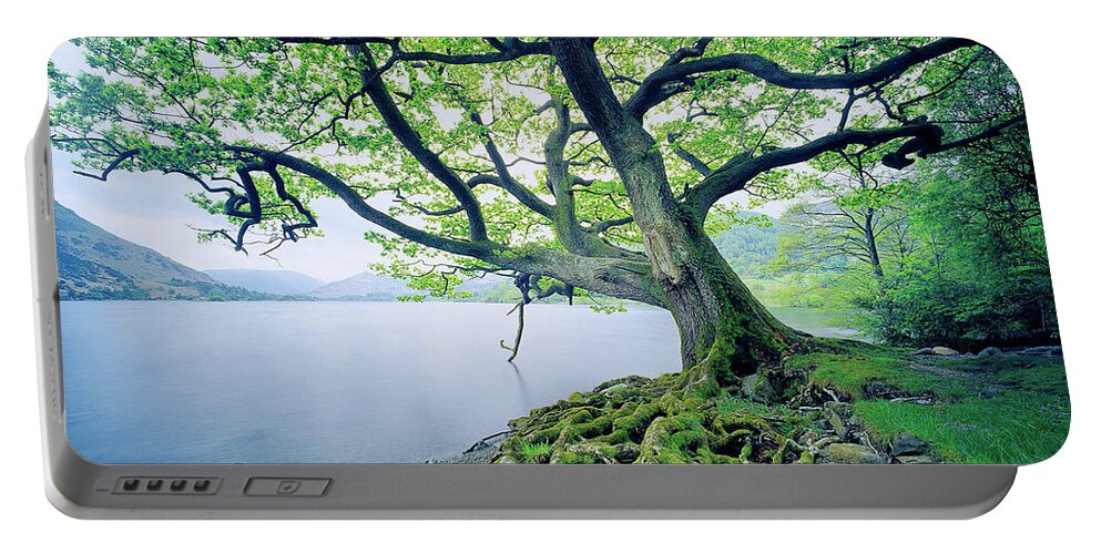 Oak Tree Portable Battery Charger featuring the digital art Oak Tree #1 by Super Lovely