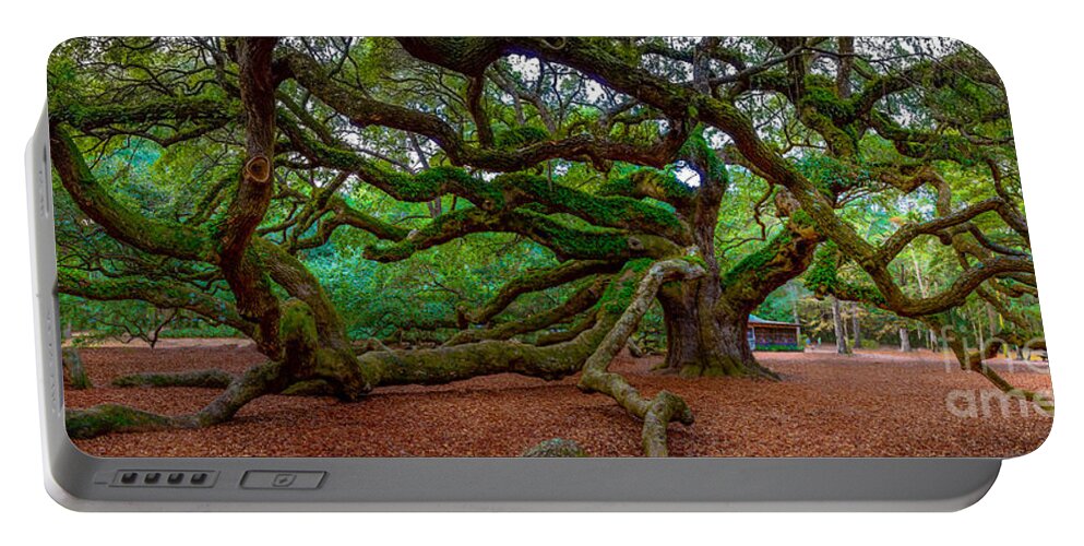 Angel Oak Portable Battery Charger featuring the photograph Old Southern Live Oak #1 by David Smith
