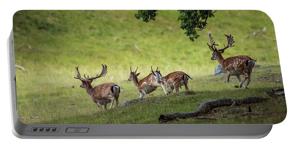 Four Fallow Deer Bucks Portable Battery Charger featuring the photograph On the run by Torbjorn Swenelius
