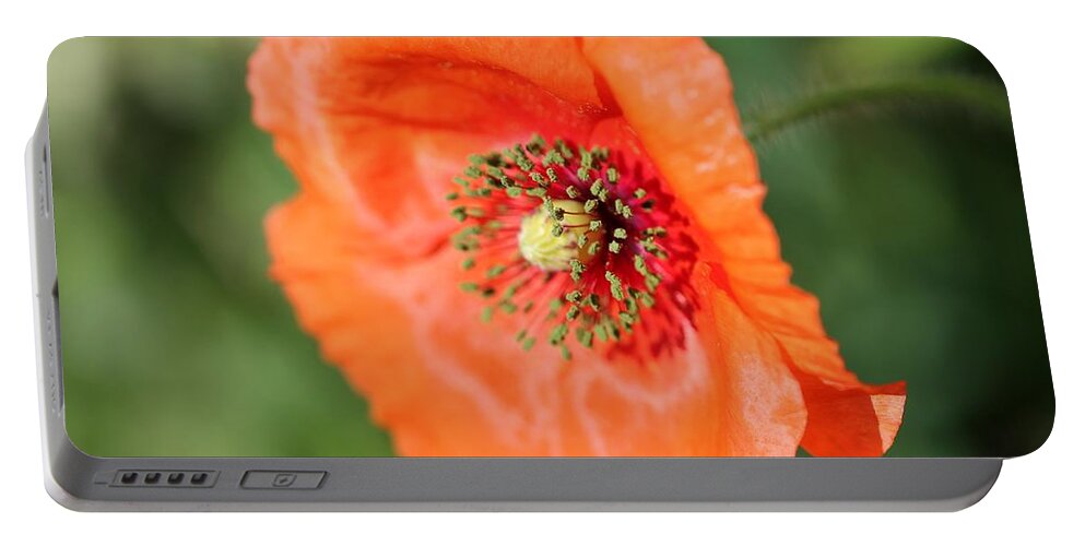 Mccombie Portable Battery Charger featuring the photograph Orange Wild Flanders Poppy #4 by J McCombie