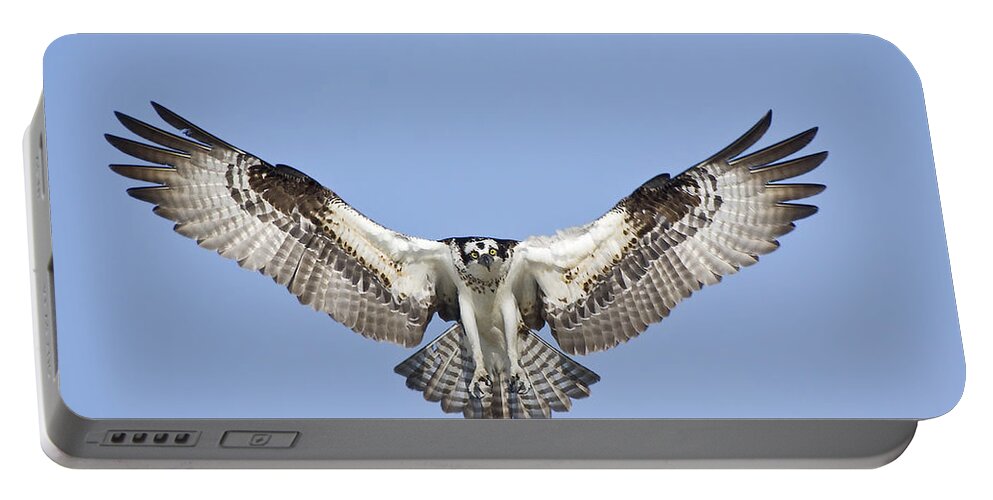 Osprey Portable Battery Charger featuring the photograph Osprey in Flight by Bob Decker