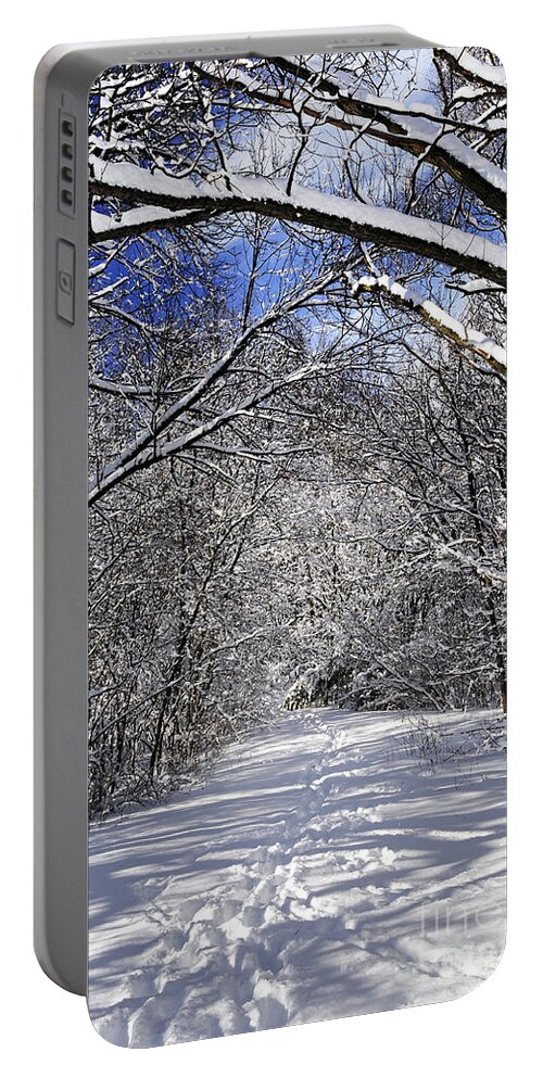 Winter Portable Battery Charger featuring the photograph Path in winter forest 4 by Elena Elisseeva