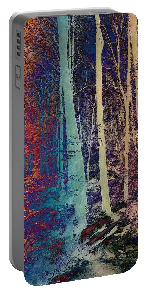 Path Portable Battery Charger featuring the photograph Path #1 by Marianna Mills