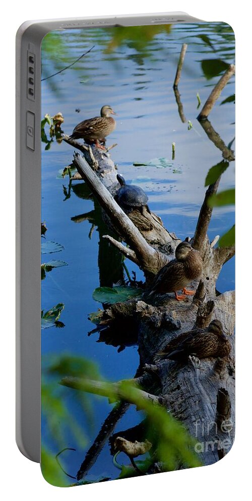 Photography Portable Battery Charger featuring the photograph Peaceful Co-existence #1 by Sean Griffin