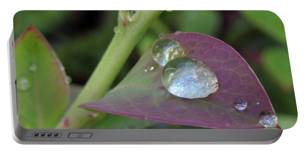 Raindrops Portable Battery Charger featuring the photograph Pearls On Leaves 4 by Kim Tran