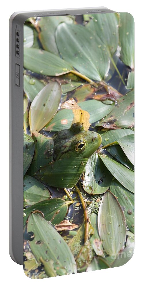 Frog Portable Battery Charger featuring the photograph Peekaboo #1 by Rick Rauzi