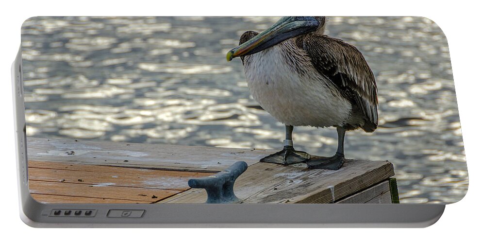 Pelican Portable Battery Charger featuring the photograph Pelican at the dock #1 by Wolfgang Stocker