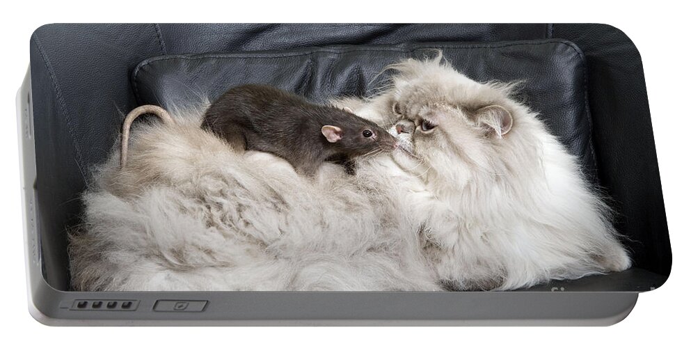 Cat Portable Battery Charger featuring the photograph Persian Cat And Rat #1 by Jean-Michel Labat