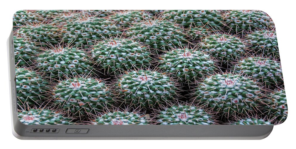 Plant Portable Battery Charger featuring the photograph Pincushion Cactus #2 by Pat Cook