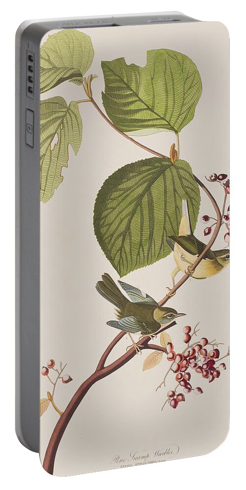 Pine Swamp Warbler Portable Battery Charger featuring the painting Pine Swamp Warbler by John James Audubon