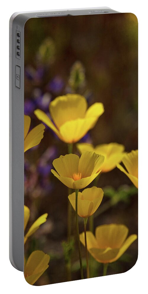 Poppies Portable Battery Charger featuring the photograph Poppies and Lupines #2 by Saija Lehtonen