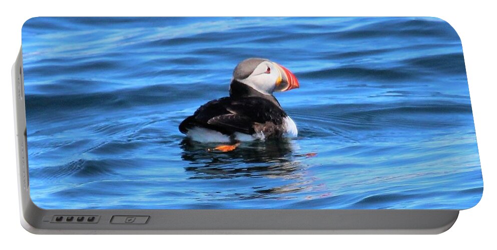 Puffin Portable Battery Charger featuring the photograph Puffin #1 by Jewels Hamrick
