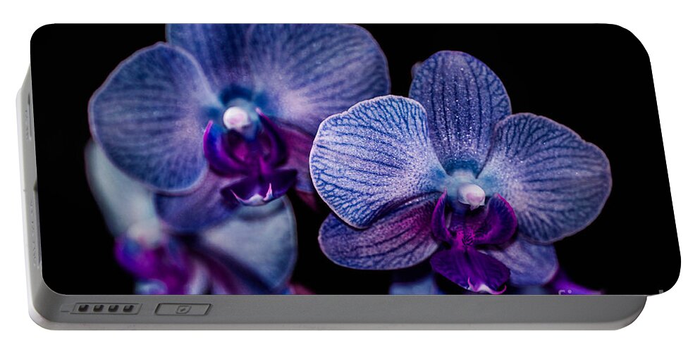Flower Portable Battery Charger featuring the photograph Purple orchid #3 by Gerald Kloss