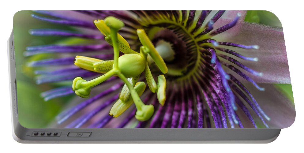 Nature Portable Battery Charger featuring the photograph Purple Passion by George Kenhan