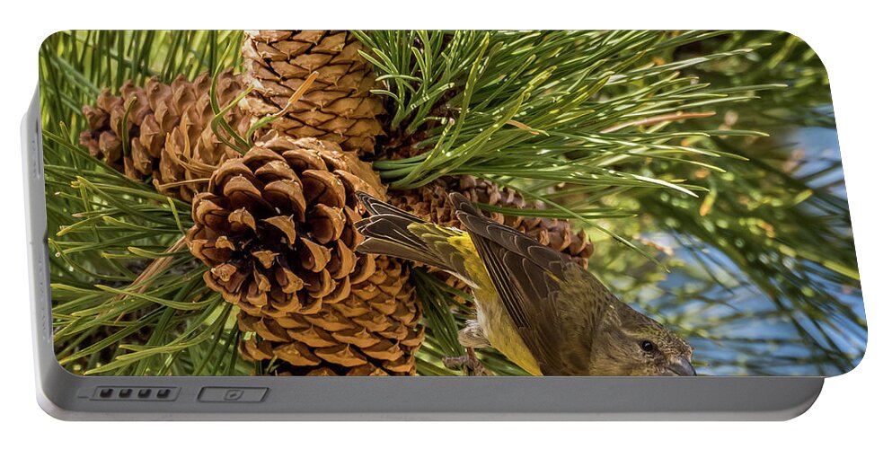 Nature Portable Battery Charger featuring the photograph Red Crossbill #1 by Michael Cunningham