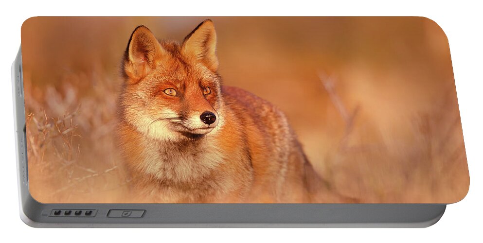 Red Fox Portable Battery Charger featuring the photograph Red Fox in Red Light #1 by Roeselien Raimond