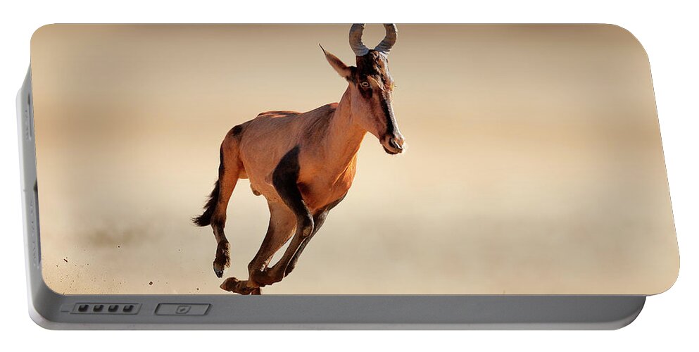 Hartebeest Portable Battery Charger featuring the photograph Red hartebeest running #1 by Johan Swanepoel