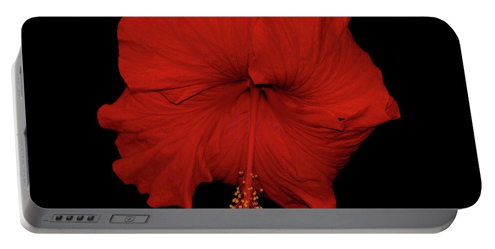 Red Hibiscus Portable Battery Charger featuring the photograph 1- Red Hibiscus by Joseph Keane