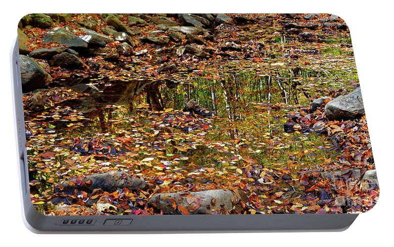 Fall Portable Battery Charger featuring the photograph Reflections Of Fall #2 by Paul Mashburn