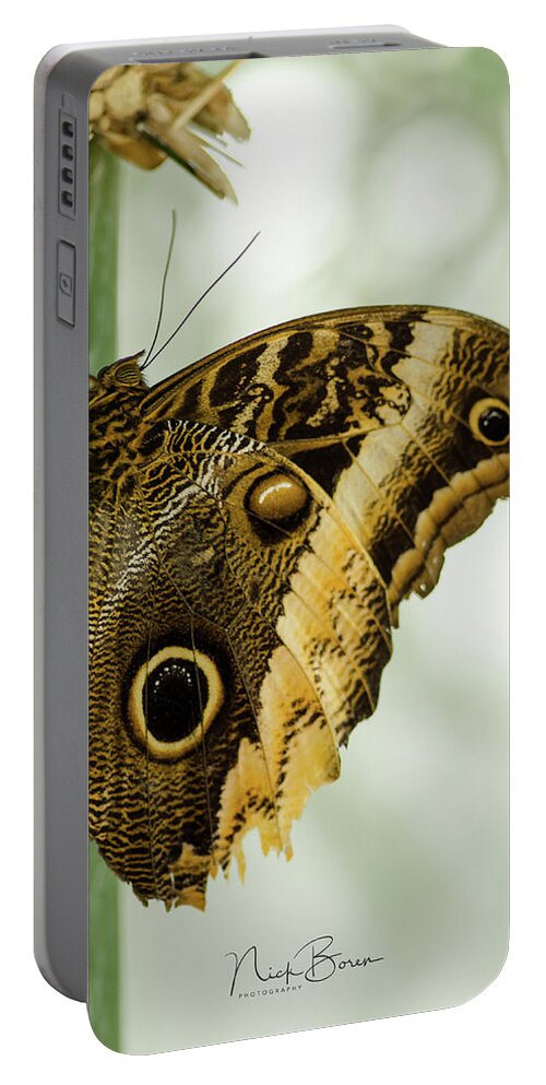 Butterfly Portable Battery Charger featuring the photograph Resting #1 by Nick Boren