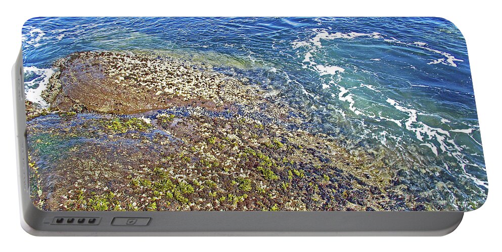 Sea Life On The Rocks In Salt Creek Recreation Area Portable Battery Charger featuring the photograph Sea Life on the Rocks in Salt Creek Recreation Area on Olympic Peninsula, Washington #1 by Ruth Hager