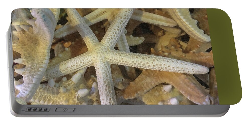 Starfish Portable Battery Charger featuring the photograph Starfish Treasure by Dale Powell