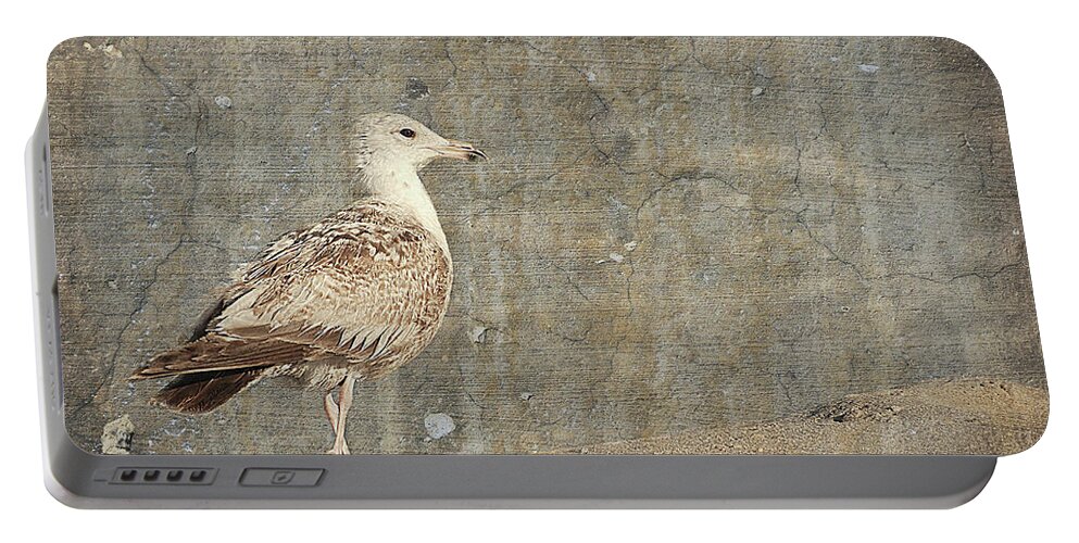 Jersey Shore Portable Battery Charger featuring the photograph Seagull - Jersey Shore by Angie Tirado