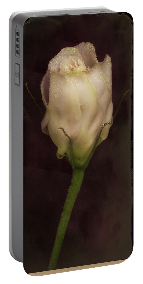 Flowers Portable Battery Charger featuring the photograph Showy Prairie Gertain #1 by Garry McMichael