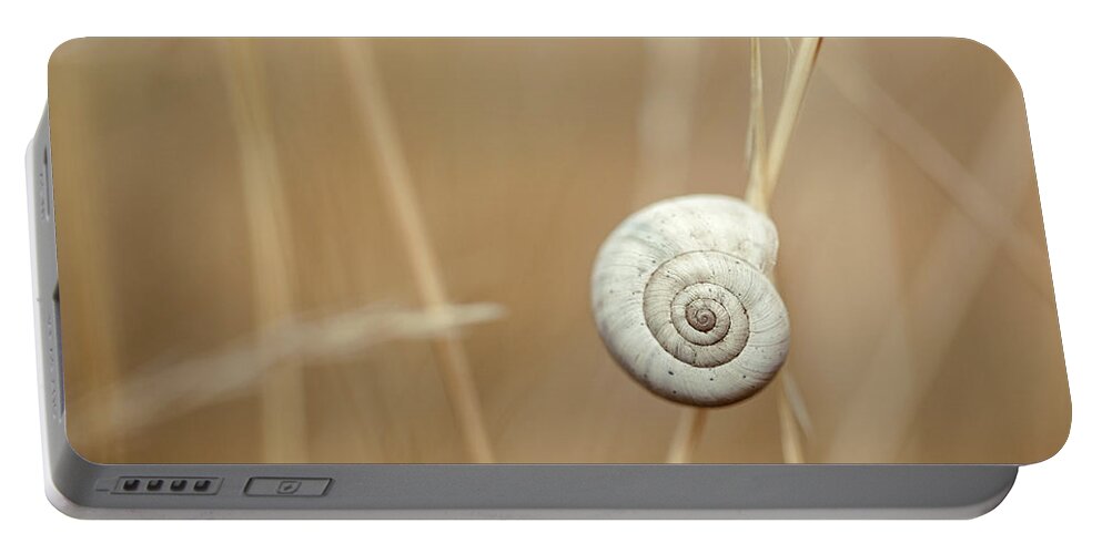 Autumn Portable Battery Charger featuring the photograph Snail on Autum Grass Blade by Nailia Schwarz