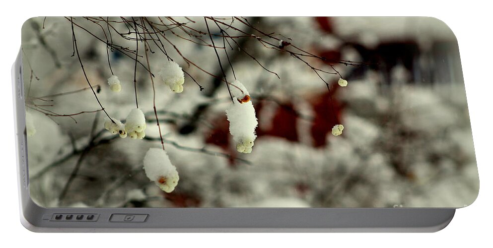 Snow Portable Battery Charger featuring the photograph Snow Berries #1 by Leone Lund