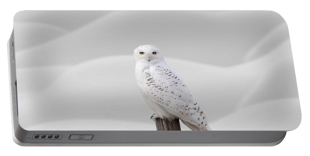 Snowy Owl Portable Battery Charger featuring the photograph Snowy Owl #1 by Mark Duffy