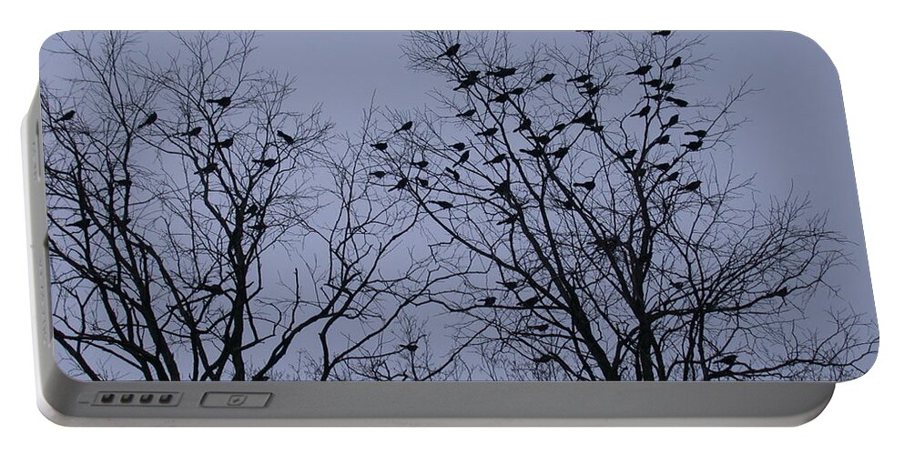 Starlings Portable Battery Charger featuring the photograph A Murmuration by Aggy Duveen