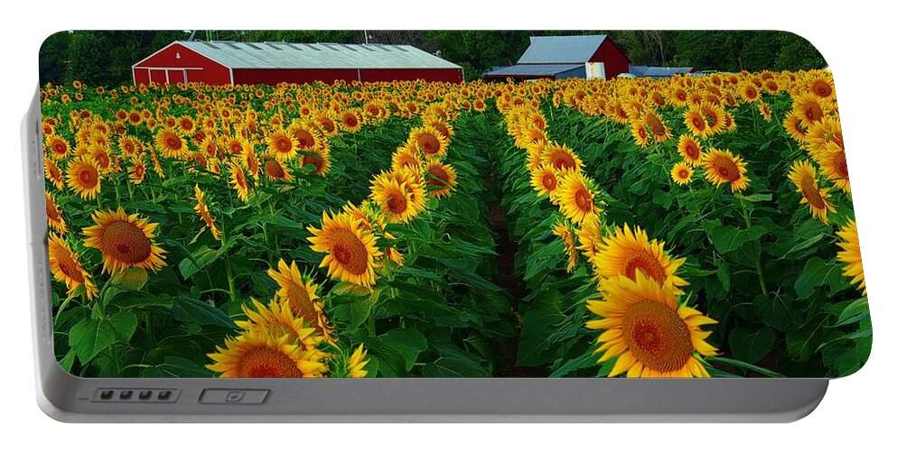 Red Barns Portable Battery Charger featuring the photograph Sunflower Field #4 #1 by Karen McKenzie McAdoo