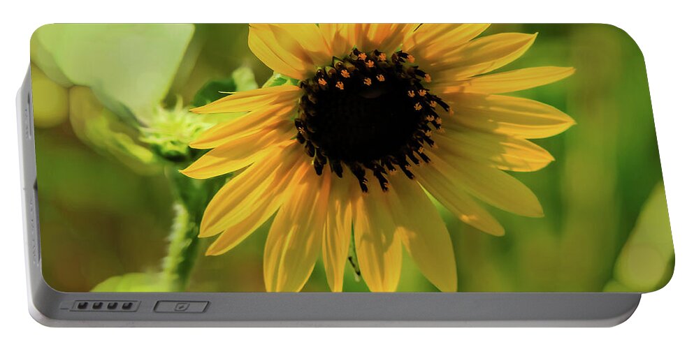 Flower Portable Battery Charger featuring the photograph Sunlit Flower #1 by JB Thomas