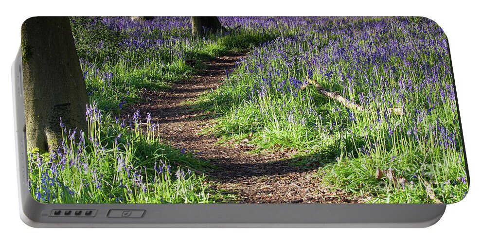 Norfolk Portable Battery Charger featuring the photograph Norfolk, England sunrise path through bluebell woods by Simon Bratt