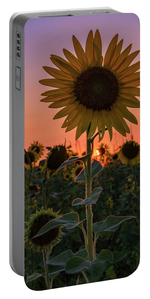 Sunset Portable Battery Charger featuring the photograph Sunset by Holly Ross