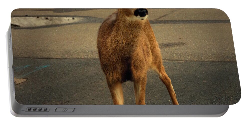 Deer Portable Battery Charger featuring the photograph Sweet Deer Of Sisters Oregon by Joyce Dickens