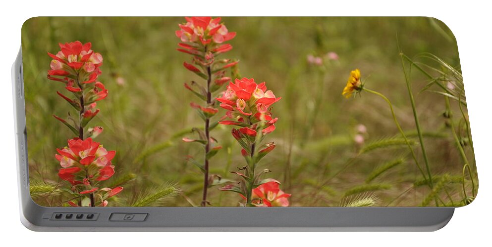 Texas Hill Country Portable Battery Charger featuring the photograph Texas Paintbrush by Frank Madia