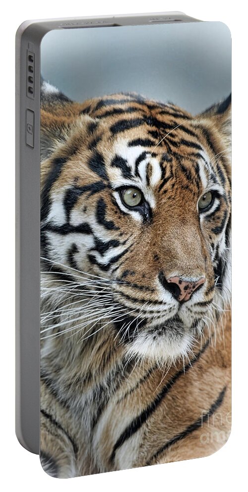 Portrait Of A Tiger Fade To Black Portable Battery Charger featuring the photograph The Gaze of a Tiger #2 by Jim Fitzpatrick