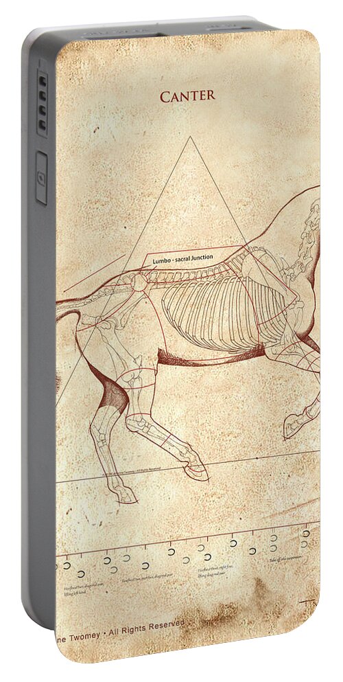 Horse Portable Battery Charger featuring the painting The Horse's Canter Revealed #1 by Catherine Twomey