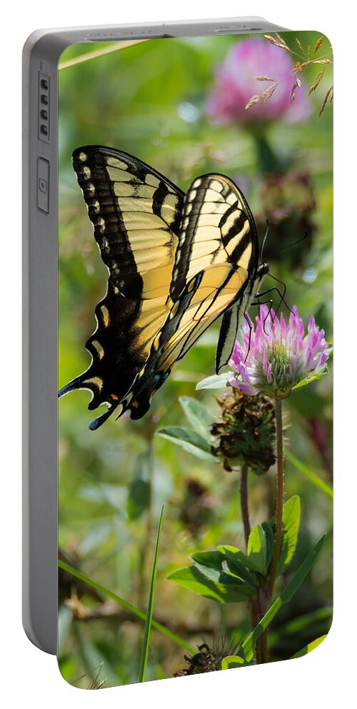 Butterfly Portable Battery Charger featuring the photograph Tiger Swallowtail Butterfly #1 by Holden The Moment