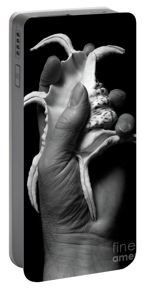 Shell Portable Battery Charger featuring the photograph Touch Series - shells #1 by Nicholas Burningham