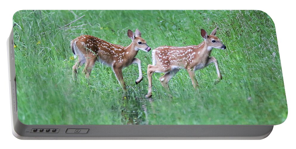 Twins Portable Battery Charger featuring the photograph Twin Fawns #1 by Brook Burling