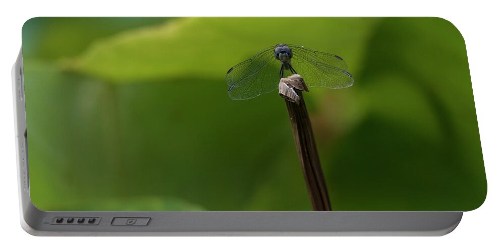 Dragonfly Portable Battery Charger featuring the photograph Vigilance by Holly Ross