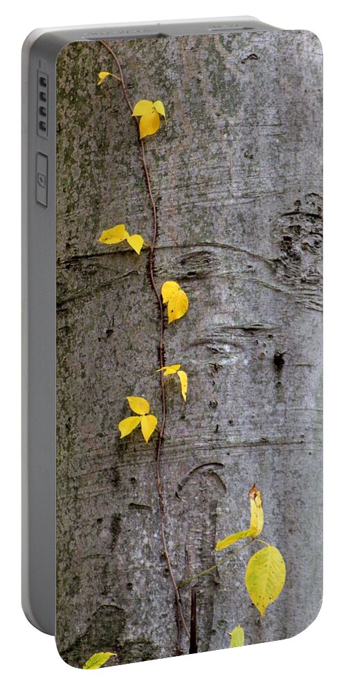 Tree Portable Battery Charger featuring the photograph Vine Climber #1 by Deborah Crew-Johnson