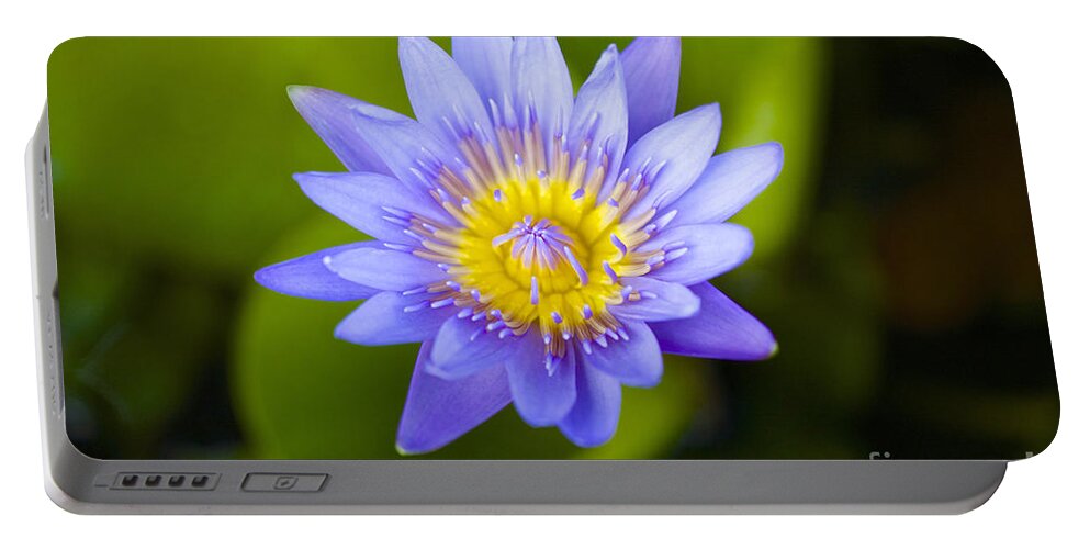 Water Lily Portable Battery Charger featuring the photograph Water Lily #2 by Laura Forde