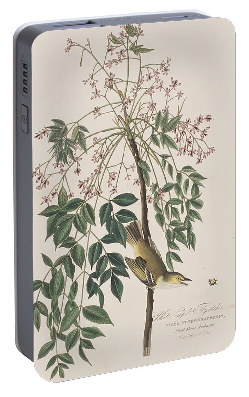 Flycatcher Portable Battery Charger featuring the painting White-eyed Flycatcher by John James Audubon